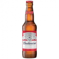 BUDWEISER BEER 330ML 24X5%